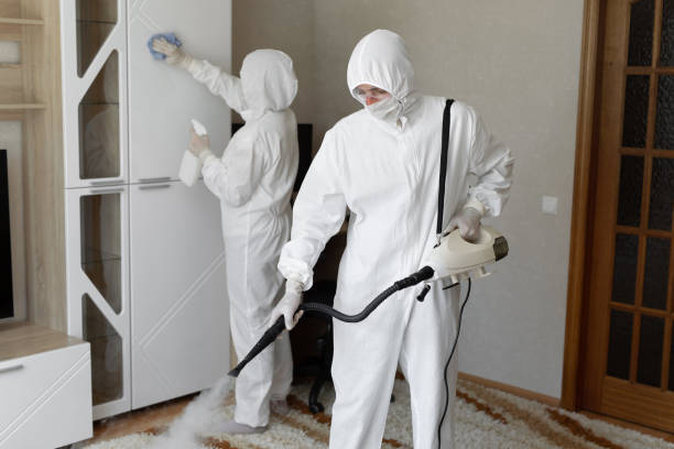 Best Mold Cleaning Services  in Amelia, LA